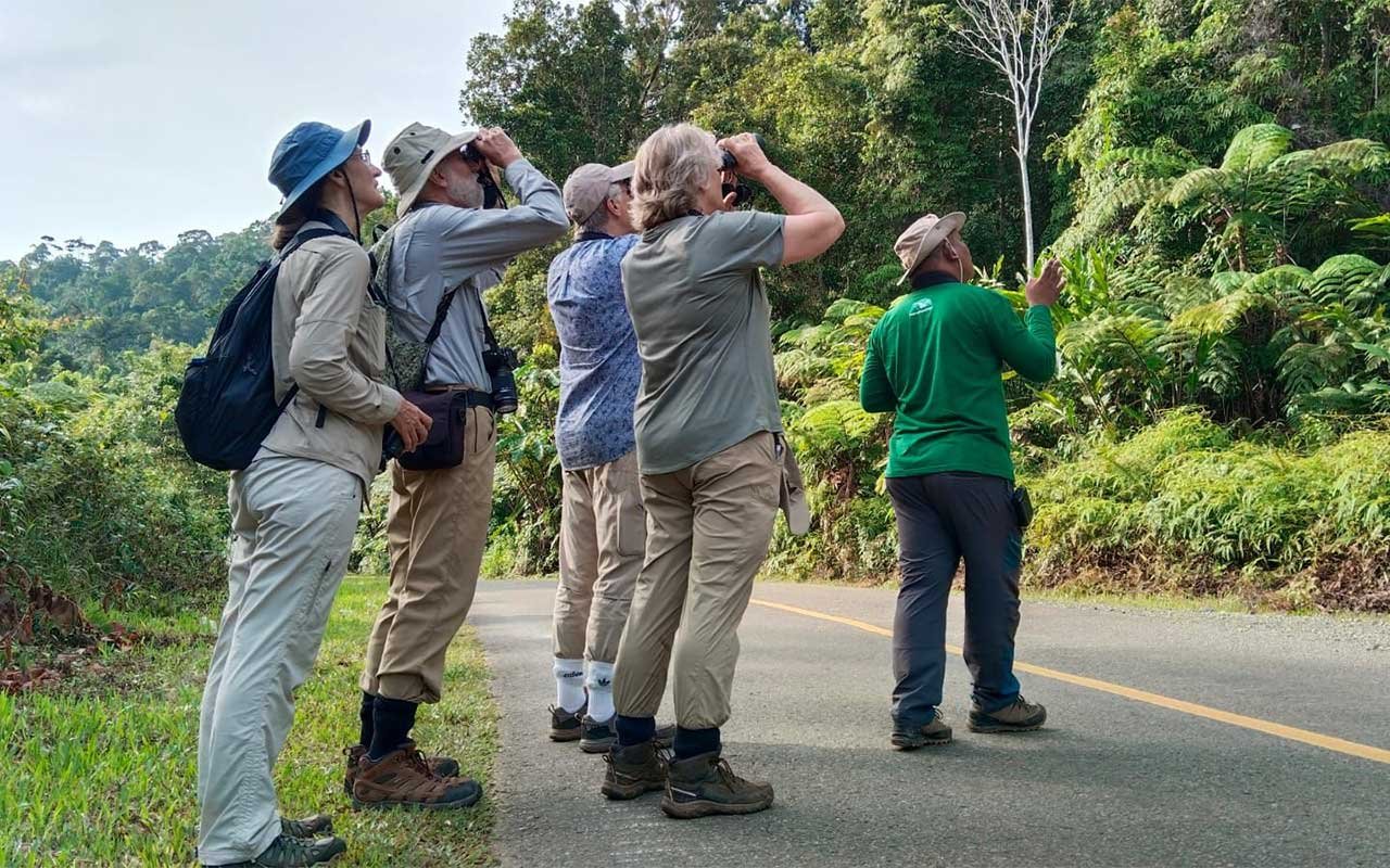 Ilham, spotting birds